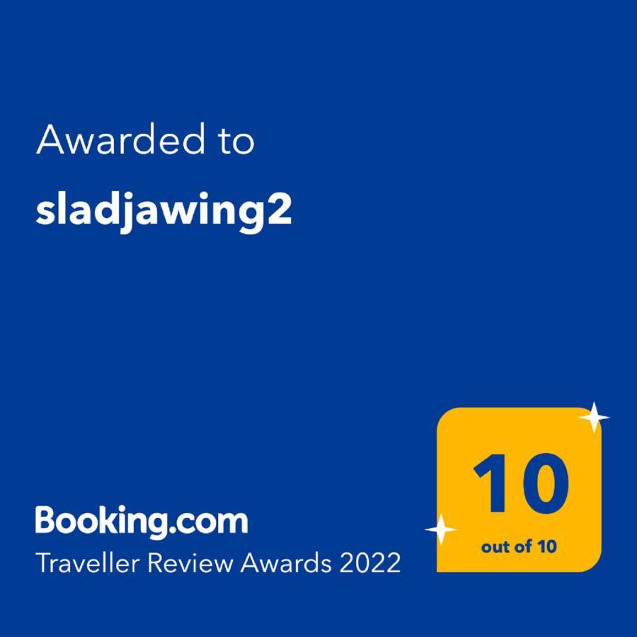 Sladjawing2 Apartment Ягодина Екстериор снимка